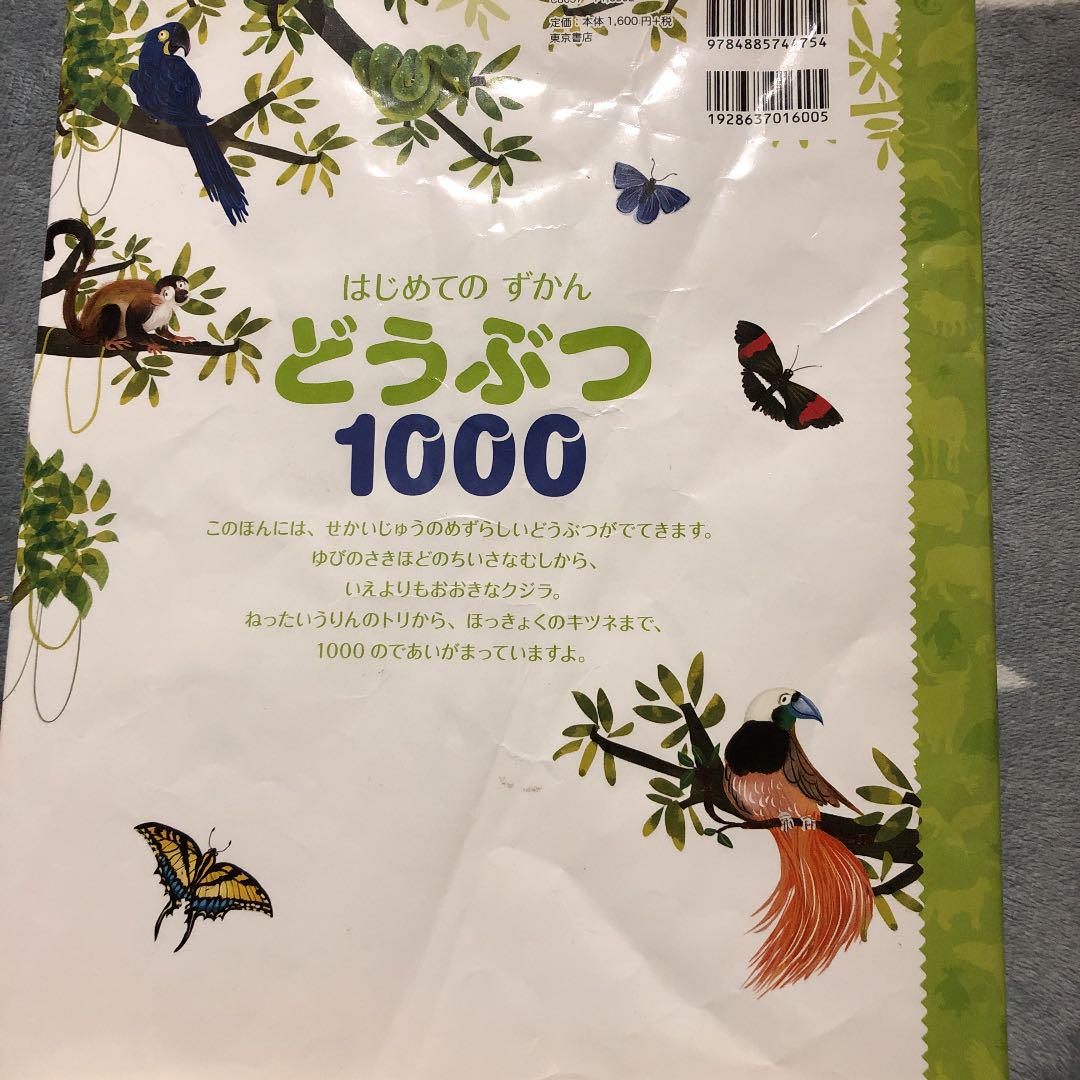 どうぶつ1000