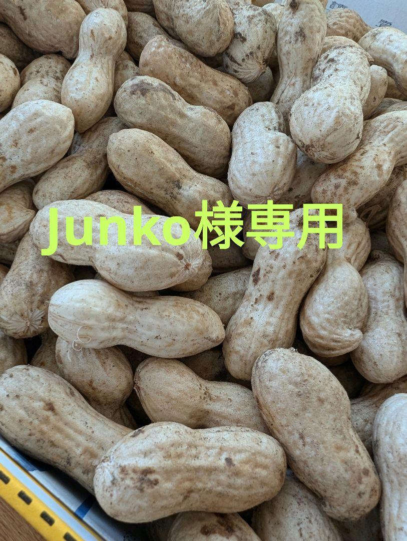 『Junko様専用』千葉県産　農薬不使用　おおまさり12キロ