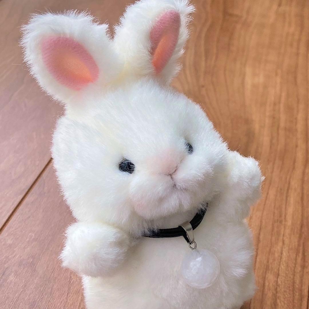 座敷わらしの御霊が宿るうさぎのぬいぐるみ 座敷童子 霊石 人形 魔法 最強 魔術