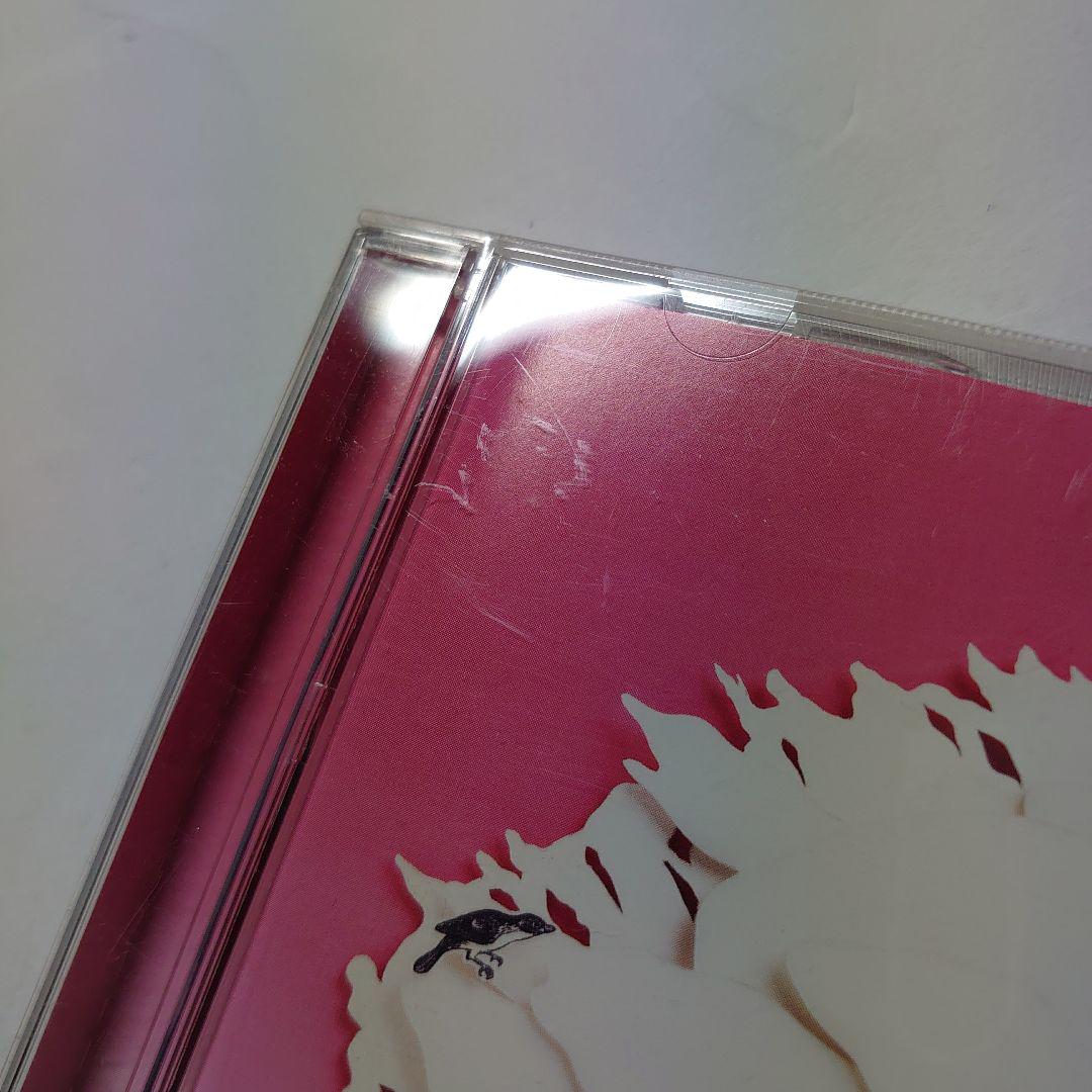 いきものがかり/SAKURA 初回盤 中古CD 帯付き - メルカリ