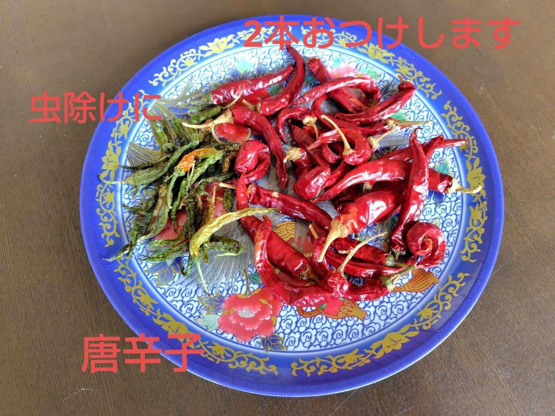 銀河のしずく 10kg 　岩手県産 令和６年産　減農薬　玄米