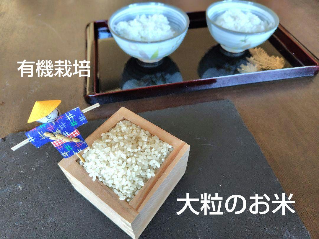 銀河のしずく 10kg 　岩手県産 令和６年産　減農薬　玄米