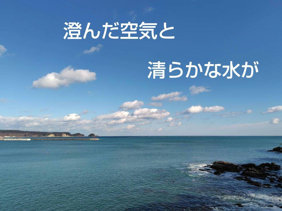 銀河のしずく 10kg 　岩手県産 令和６年産　減農薬　玄米