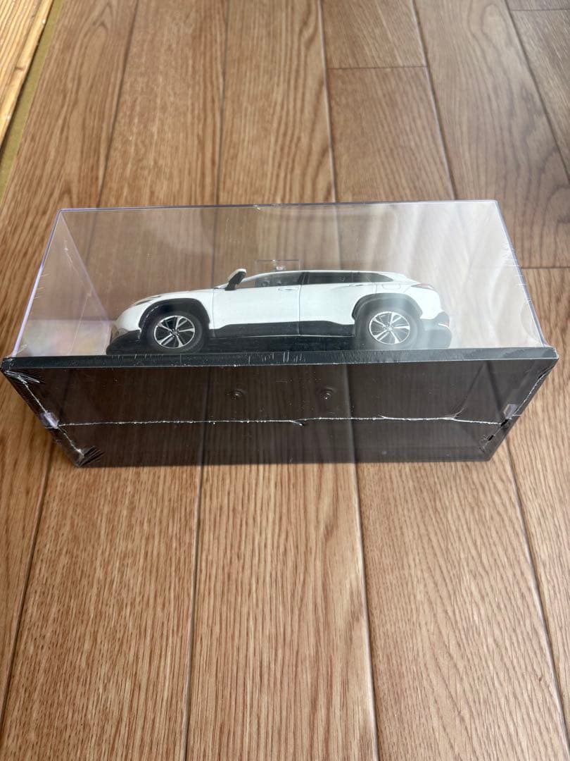 前期 カラーサンプル