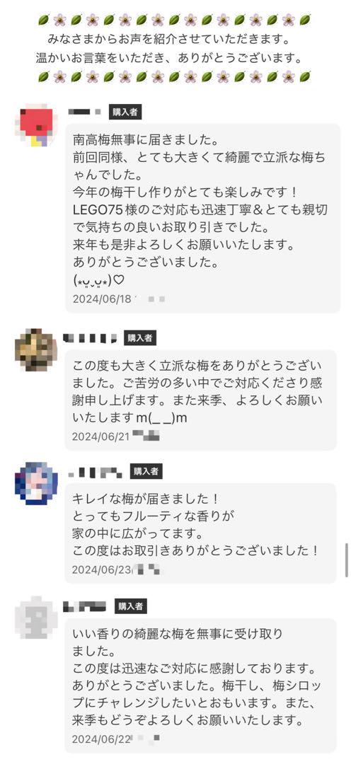 和歌山県みなべ町 南高梅 24時間以内収穫分4Lサイズ3キロ