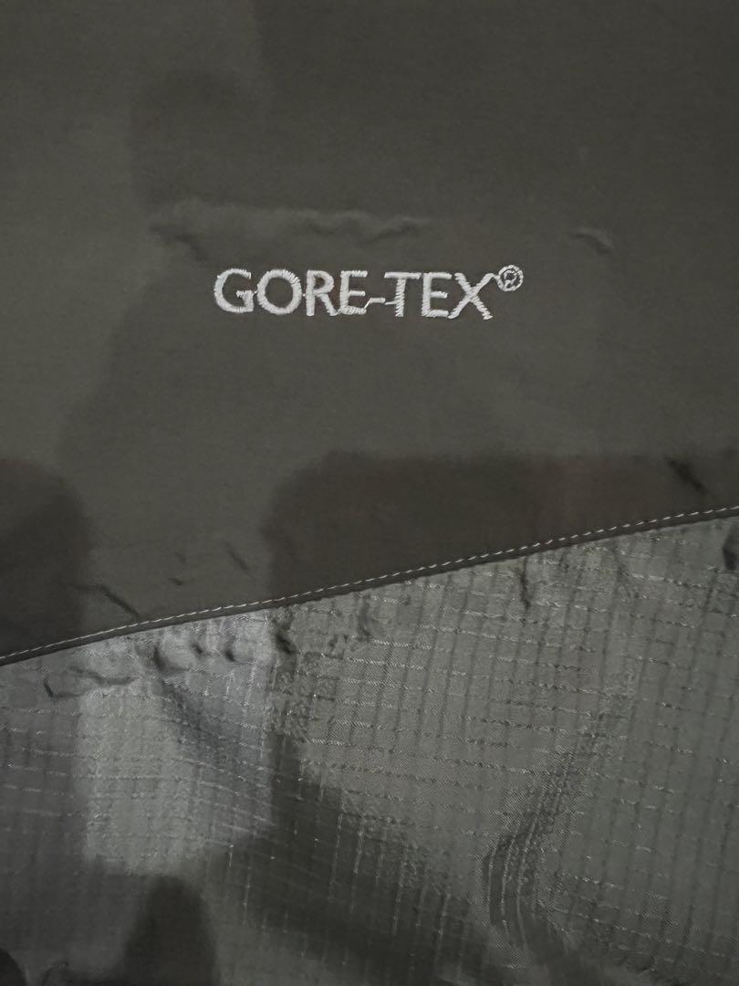 アーク　Vintage Arc'teryx Theta LT Moss MED