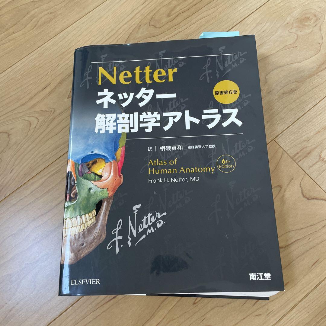 ネッター 解剖学アトラスアウトレット ストア