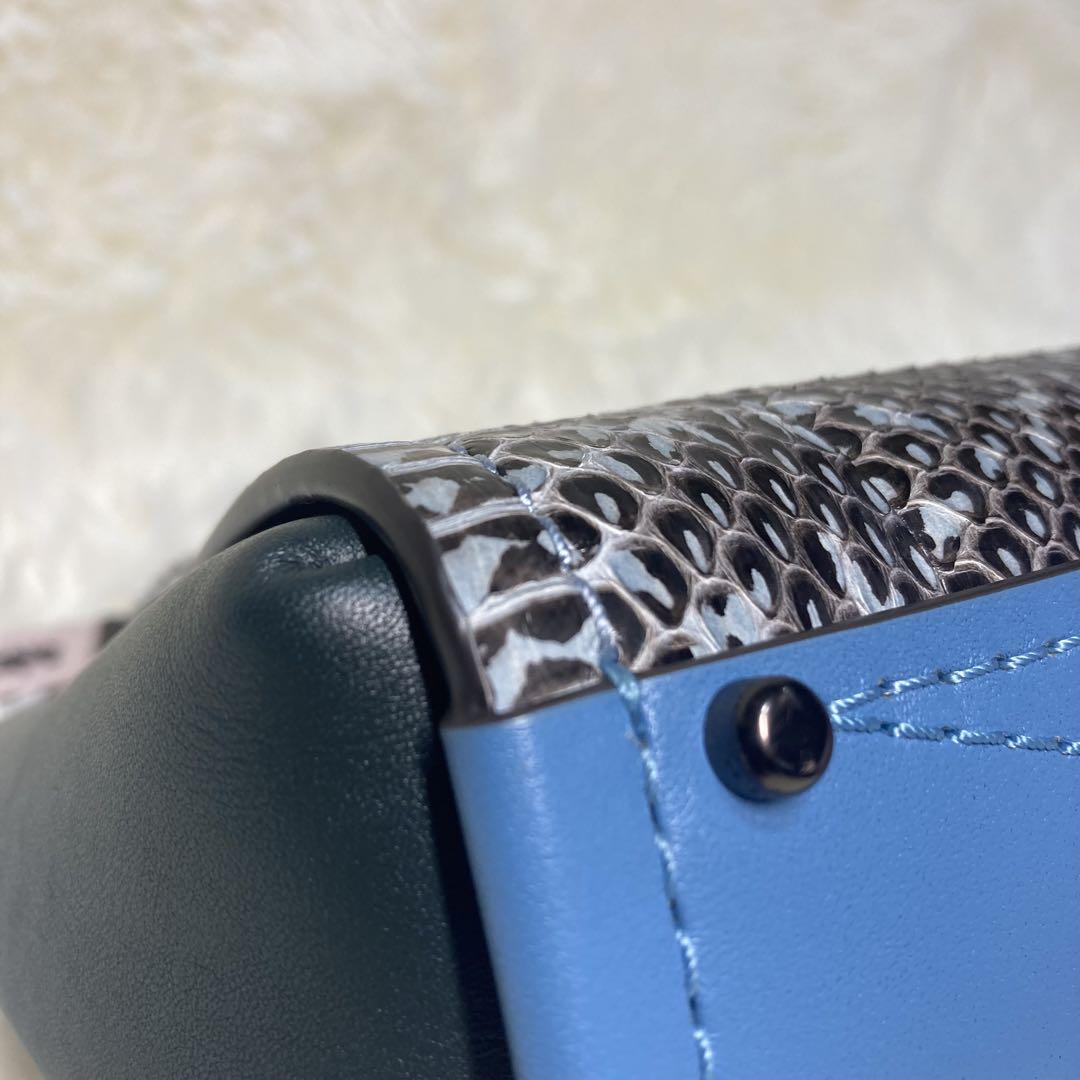 COACH(コーチ) トループ トート 16 スネークスキン 2WAYバッグ