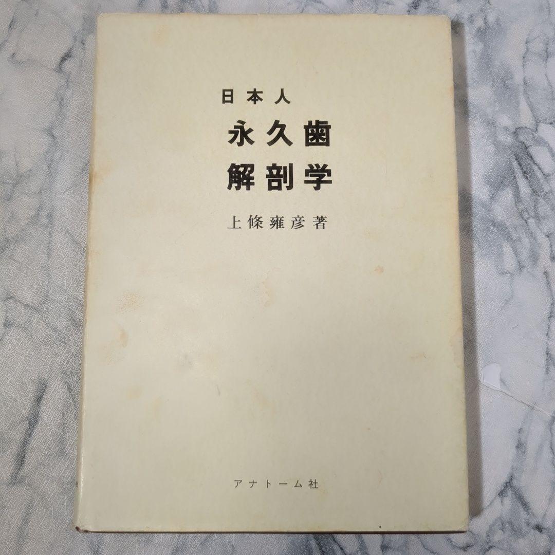日本人永久歯の解剖学