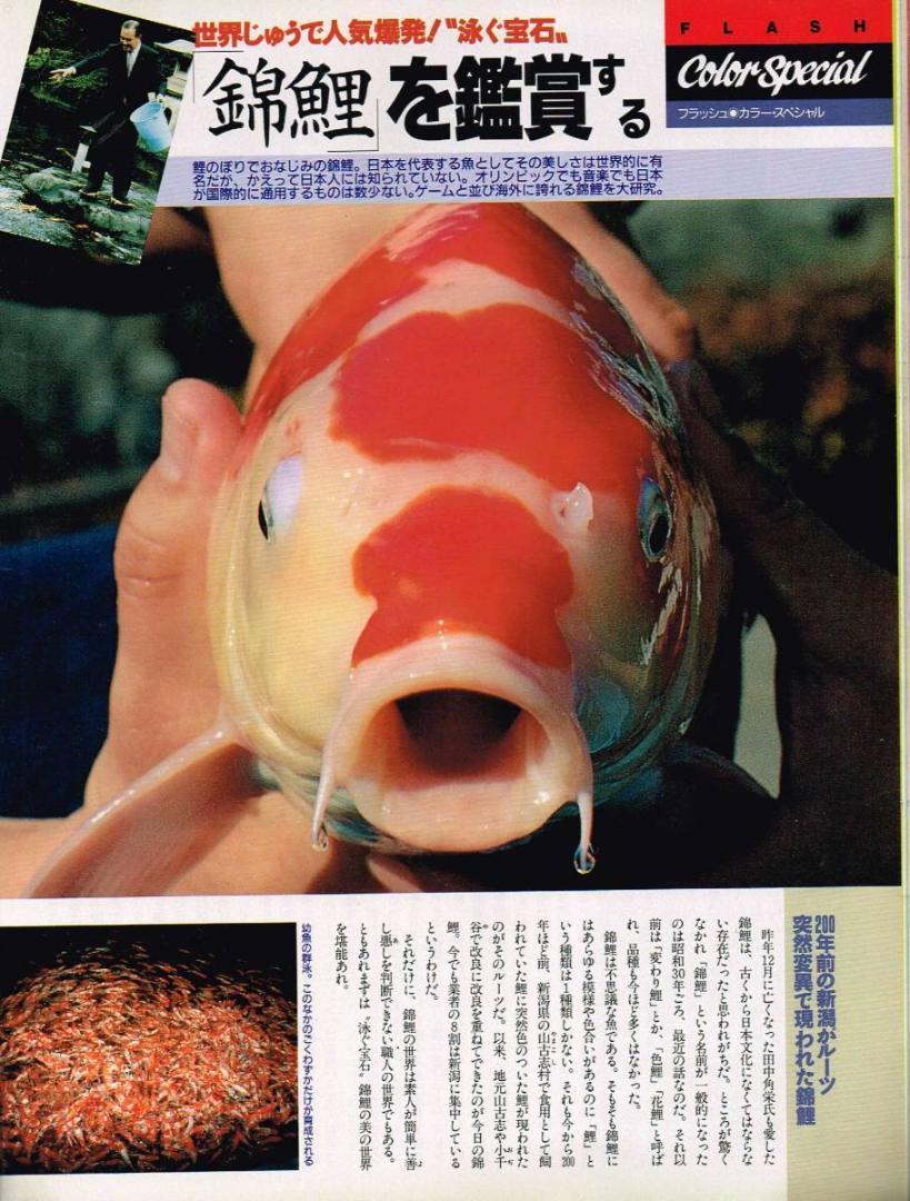 1097  FLASH フラッシュ 1994年5月24日　通巻第354号 Amazon.co.jp: FLASHフラッシュ1992年12月22日小泉今日子伊丹十