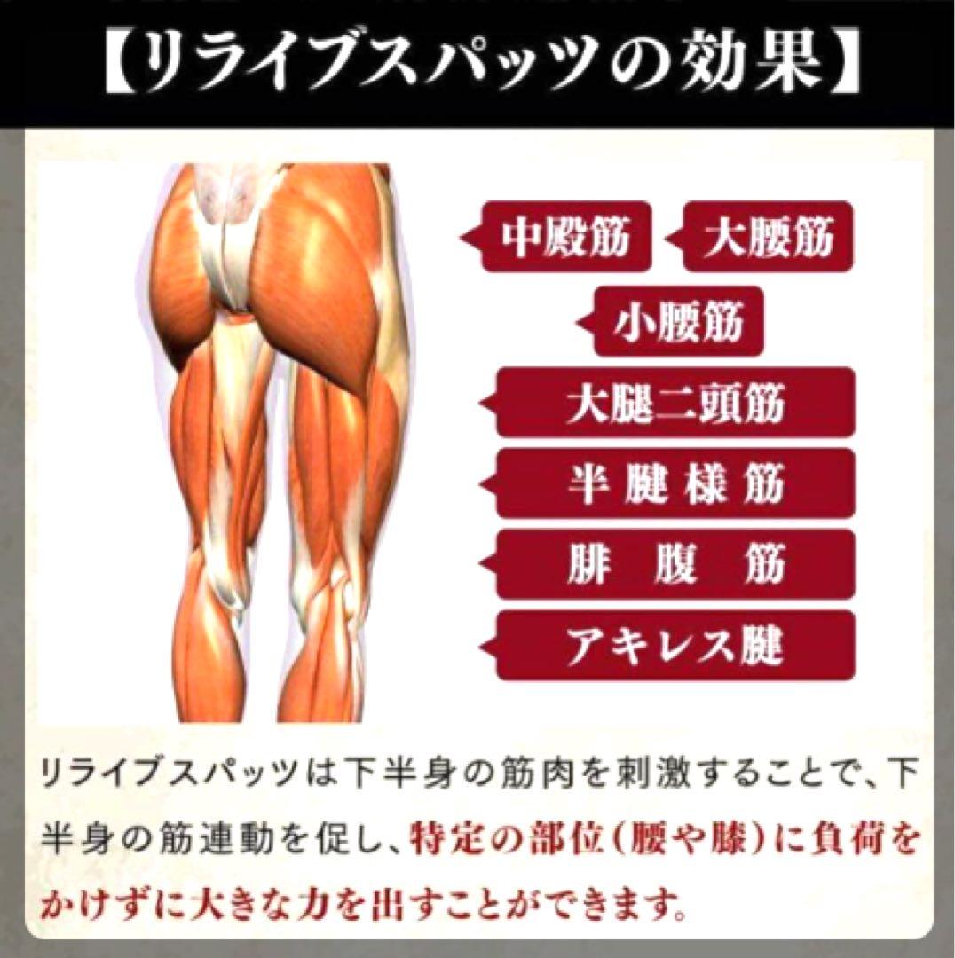 2枚 3Lサイズ レディース リライブスパッツ α 142XL 3L DECORATOM_COM_BR