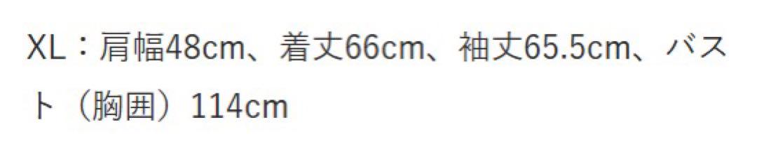 新品 REPLAY リプレイ cottonニット
