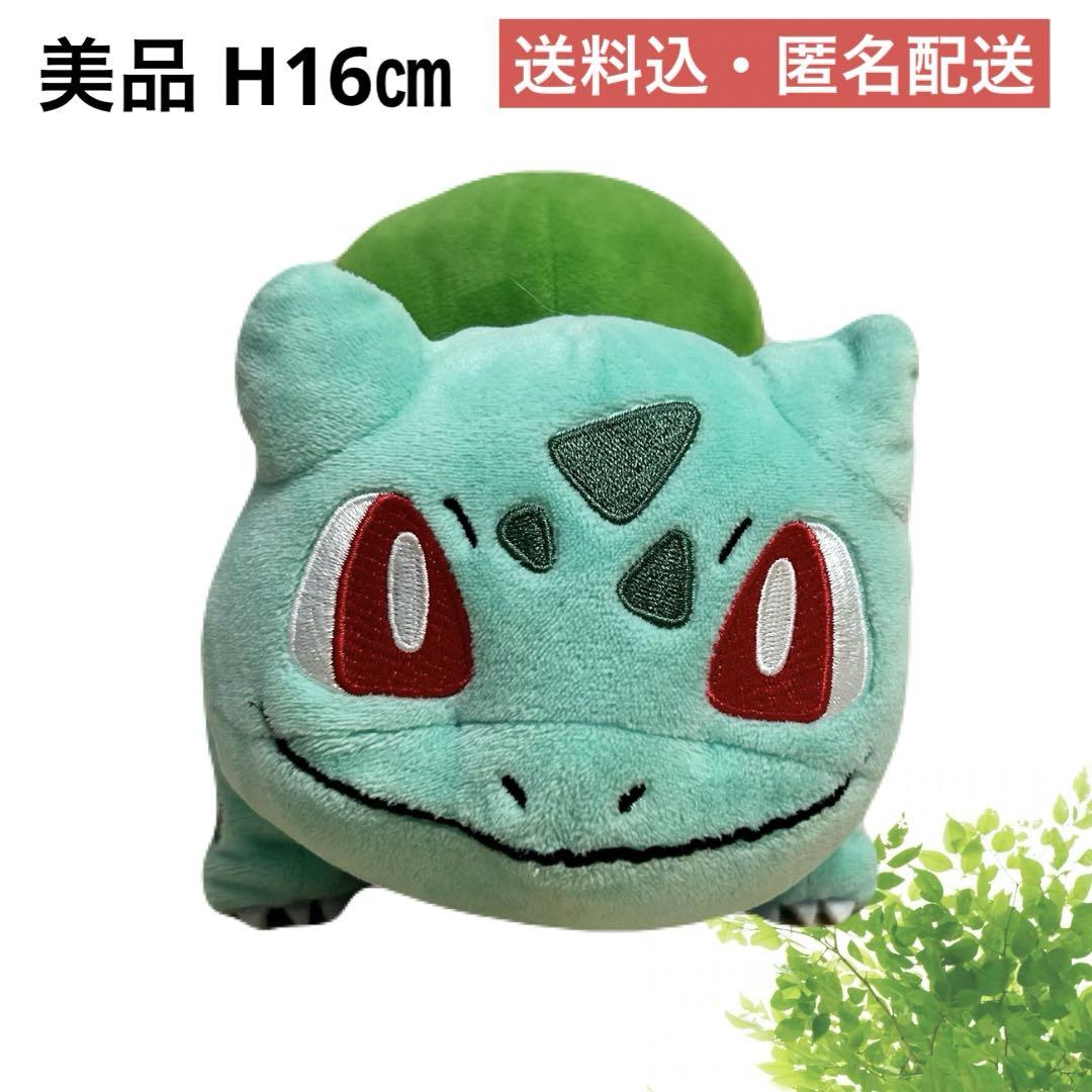 美品】ポケモンセンター購入品フシギダネ ぬいぐるみ ポケモン