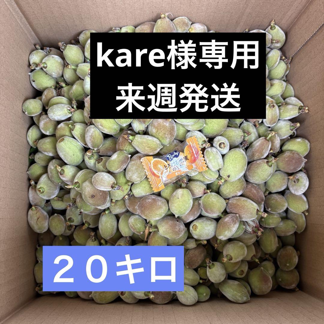 加工用摘果桃20キロフルーツ・果実