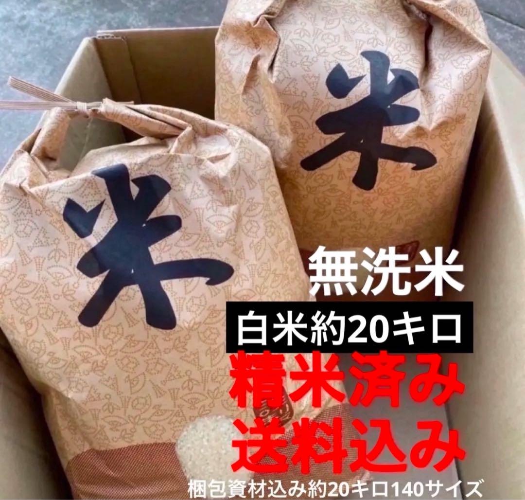 1セット限定無洗米白米 20キロ 送料込精米済米20キロ米20kg
