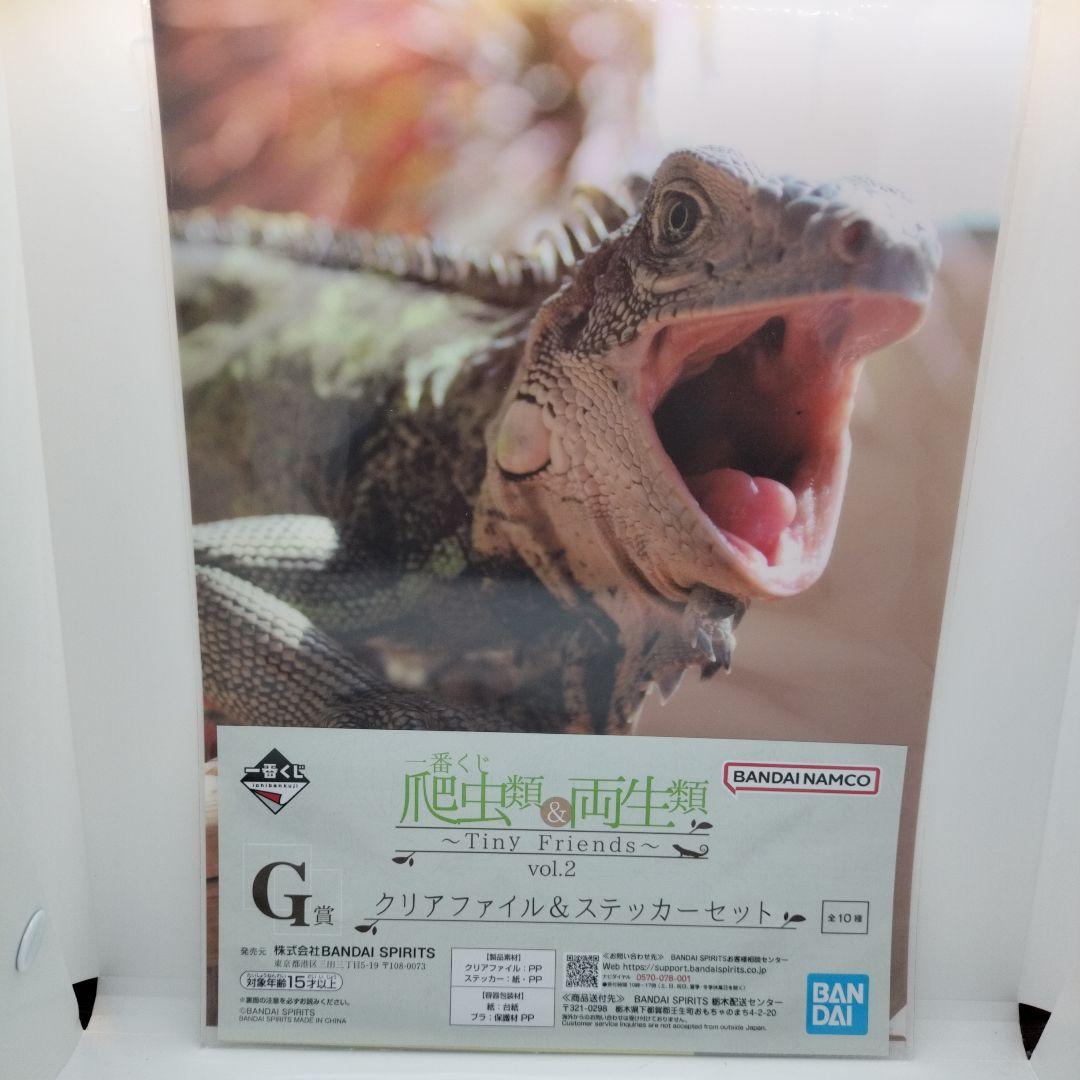 一番くじ 爬虫類&両生類 G賞 クリアファイル&ステッカーセット 全10種 一番くじ爬虫類&両生類 G賞 クリアファイル&ステッカーセット6