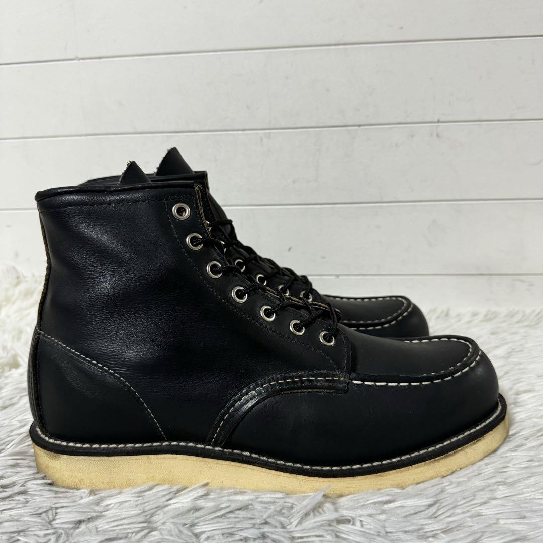 9075 アイリッシュセッター