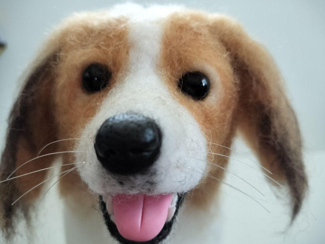 コーイケルホンディエ◇ハンドメイド羊毛フェルト犬 33cm 大谷