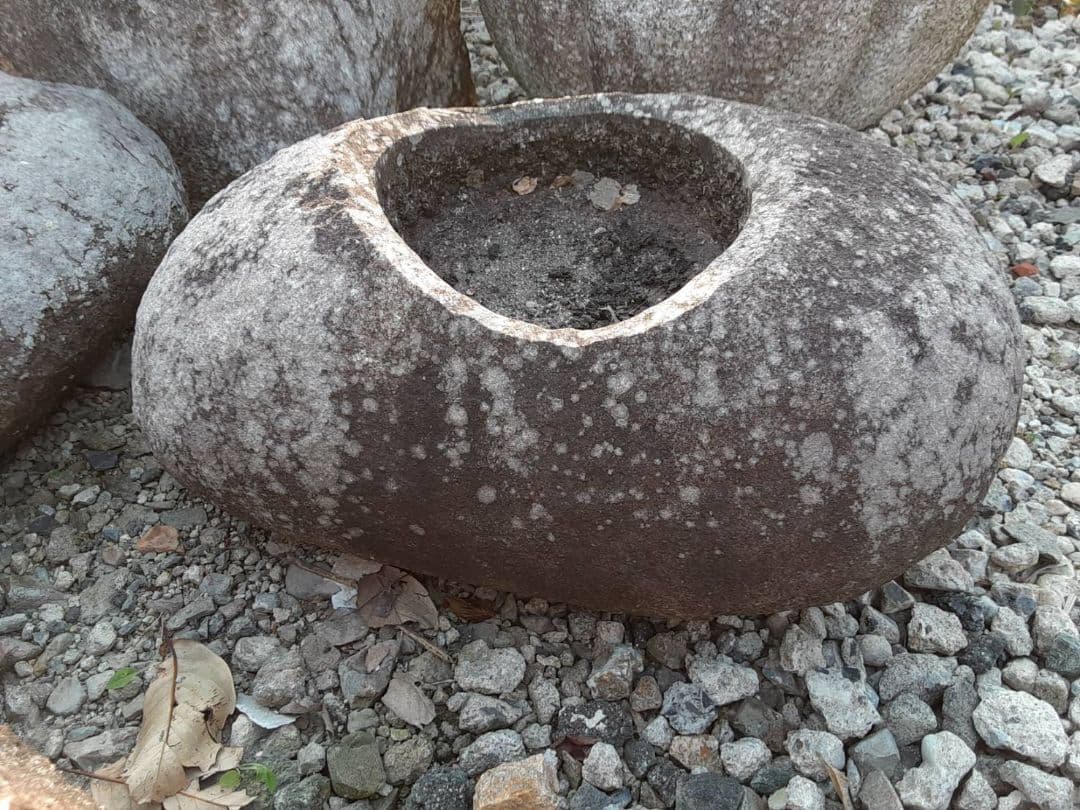 中国鞍馬 | deliciousfood.com.sa