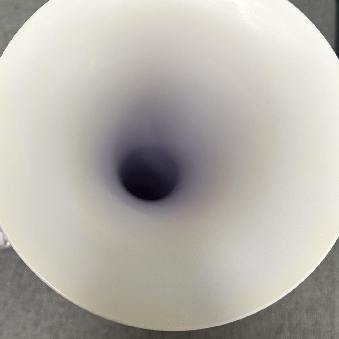 【箱付き！】 NUVO Jhorn ヌーボ プラスチック楽器　ホルン