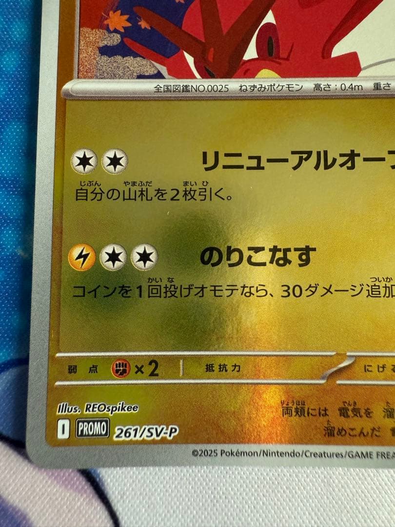 ポケモンカードヒロシマのピカチュウ プロモ　② mdprevattcaulkingandwaterproofing.com