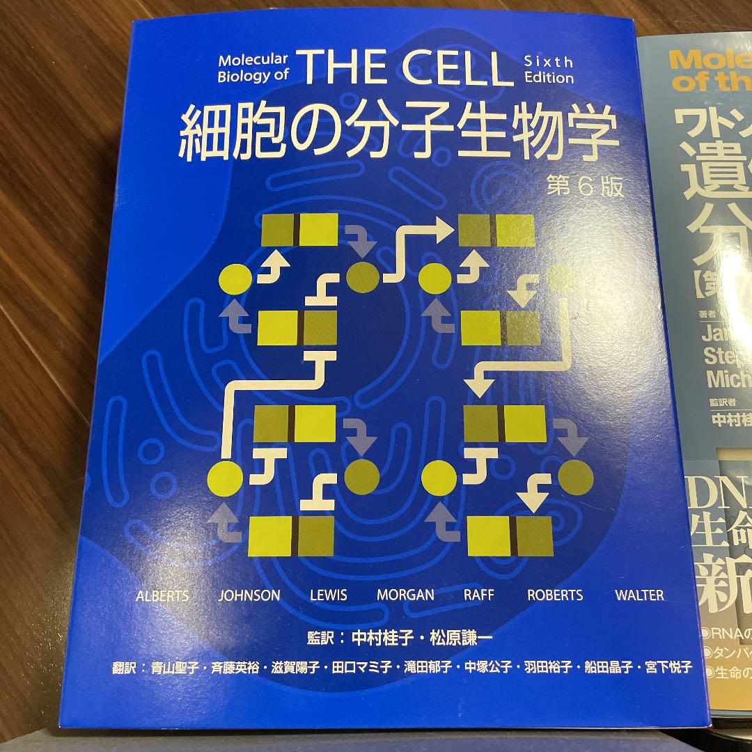 最大72%OFFクーポン 最愛 4冊セット 細胞の分子生物学 遺伝子の分子生物学 ハリソン内科学など frogtownpottery.com frogtownpottery.com