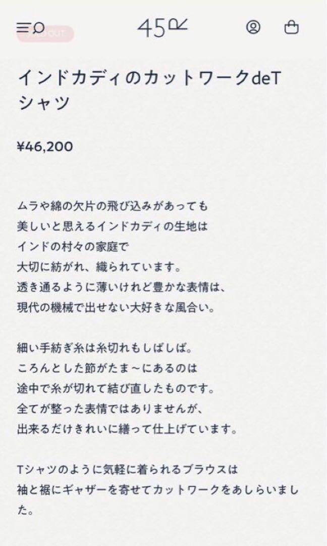 ✨美品✨45R✨インドカディのカットワークdeTシャツ