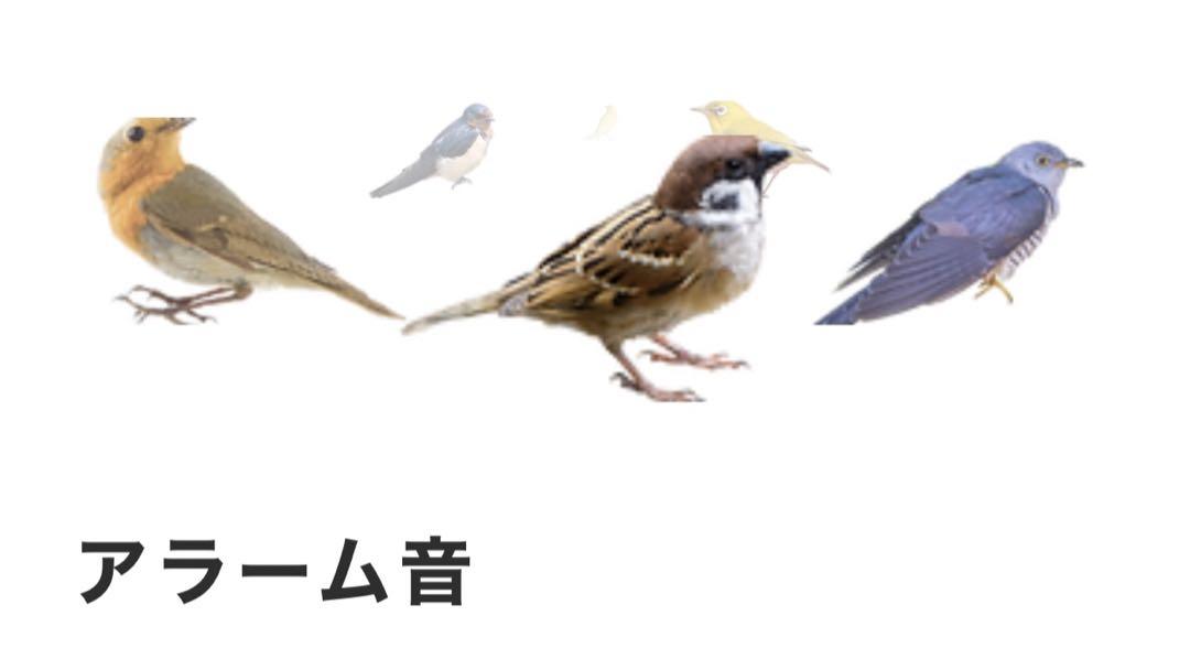 チャープ LEDライト/アラームクロック
