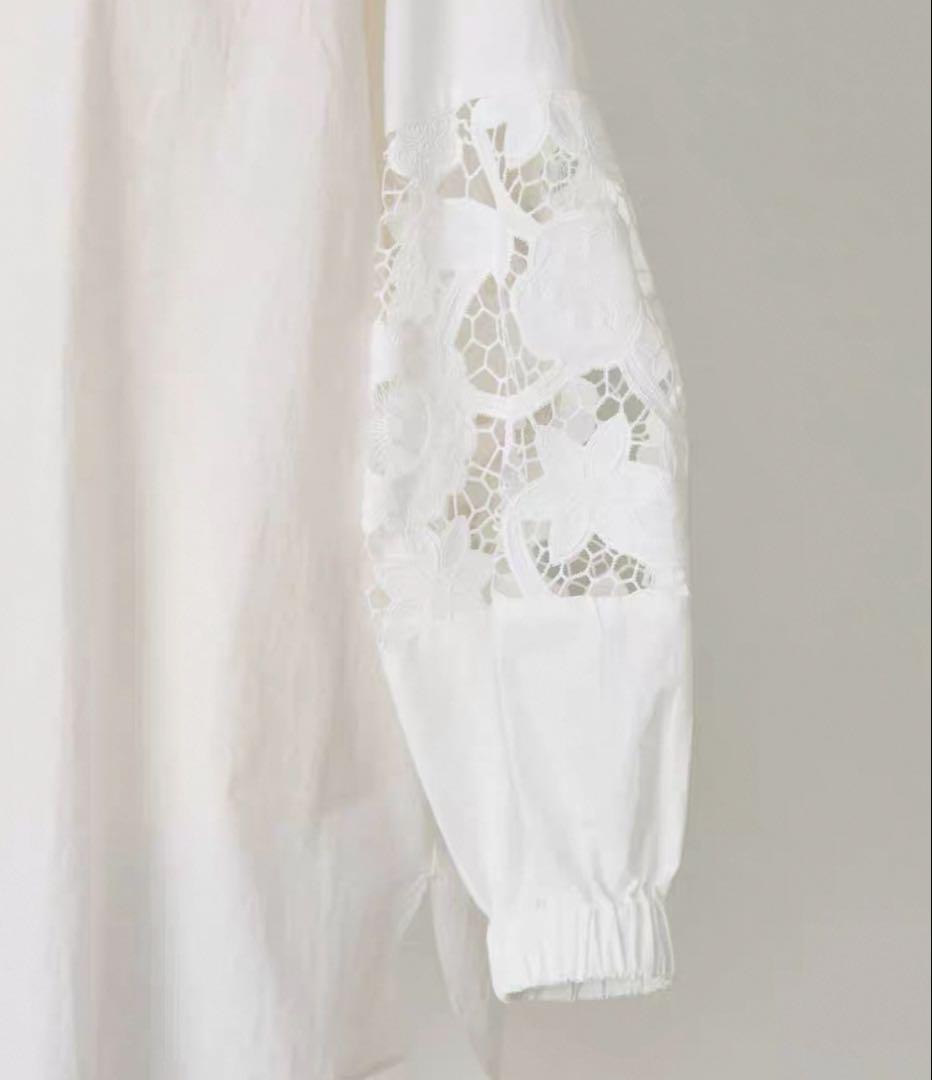 BEARDSLEY 袖レースシャツ