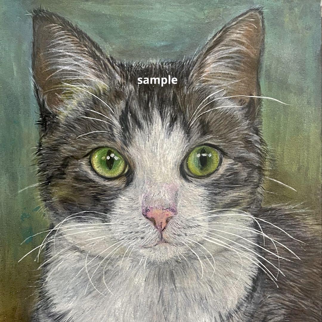 色鉛筆画　見つめる　猫　原画　手描きイラスト