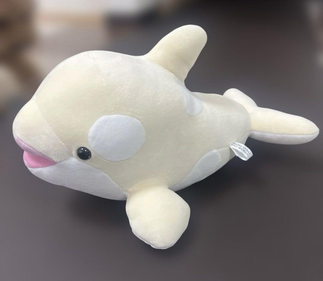 須磨シーワールド　限定　オルカくじ　3等4等 Amazon.co.jp: 須磨シーワールド オルカ くじ シャチ ぬいぐるみ