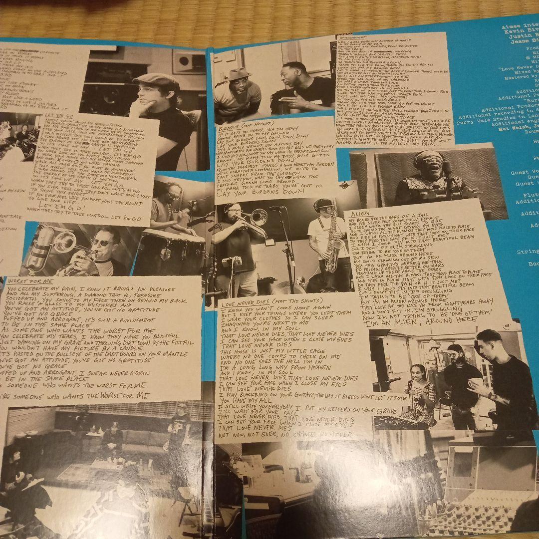 THE INTERRUPTERS IN THE WILD 限定版カラーヴィニール