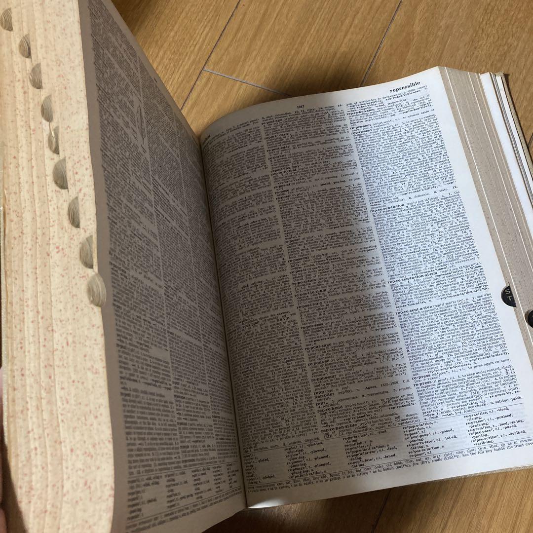 THE RANDOM HOUSE DICTIONARY of ENGLISH