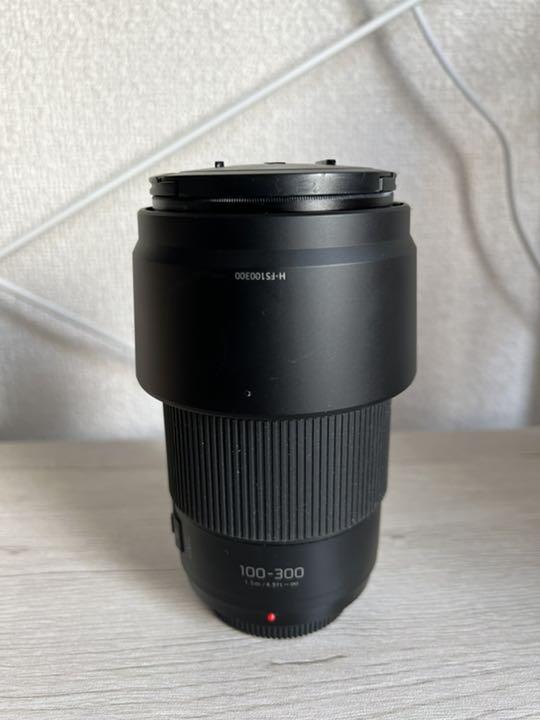 Panasonic LUMIX G VARIO 100-300F4.0-5.6