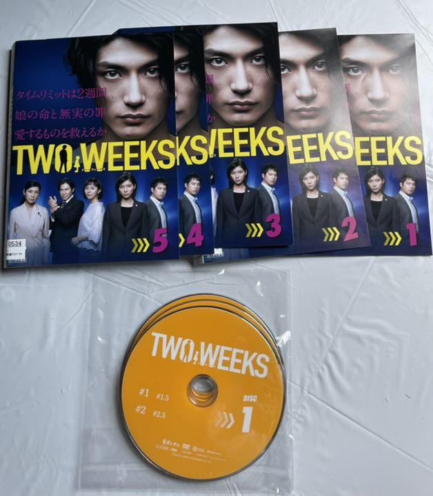 TWO WEEKS DVD 三浦春馬 芳根京子 レンタル落ち