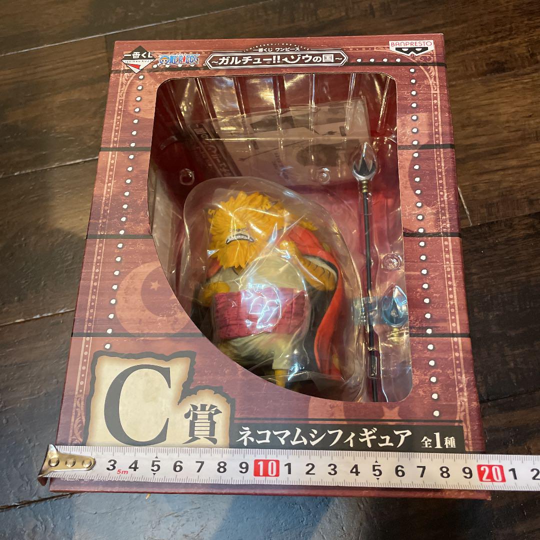 ワンピース ネコマムシ Robin Ruth Com Br