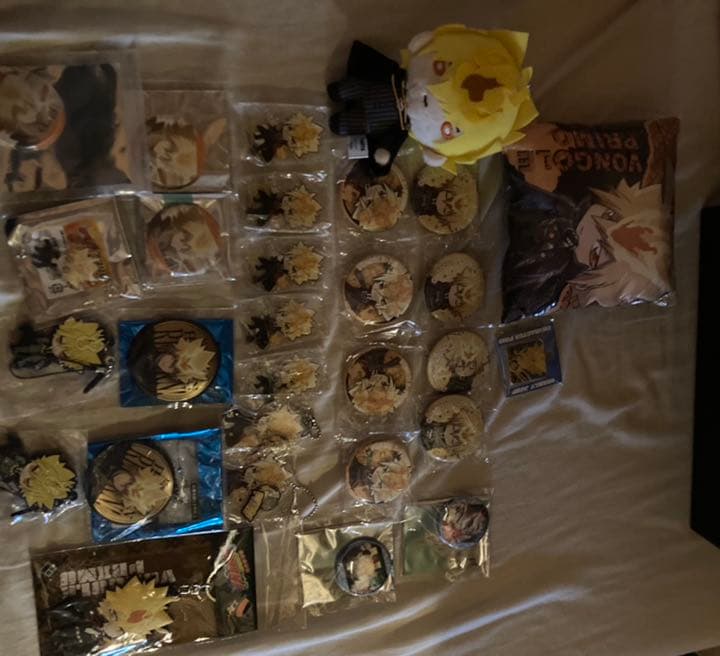 家庭教師ヒットマンREBORN!　プリーモ　まとめ売り 家庭教師ヒットマンreborn ボンゴレプリーモまとめ売り