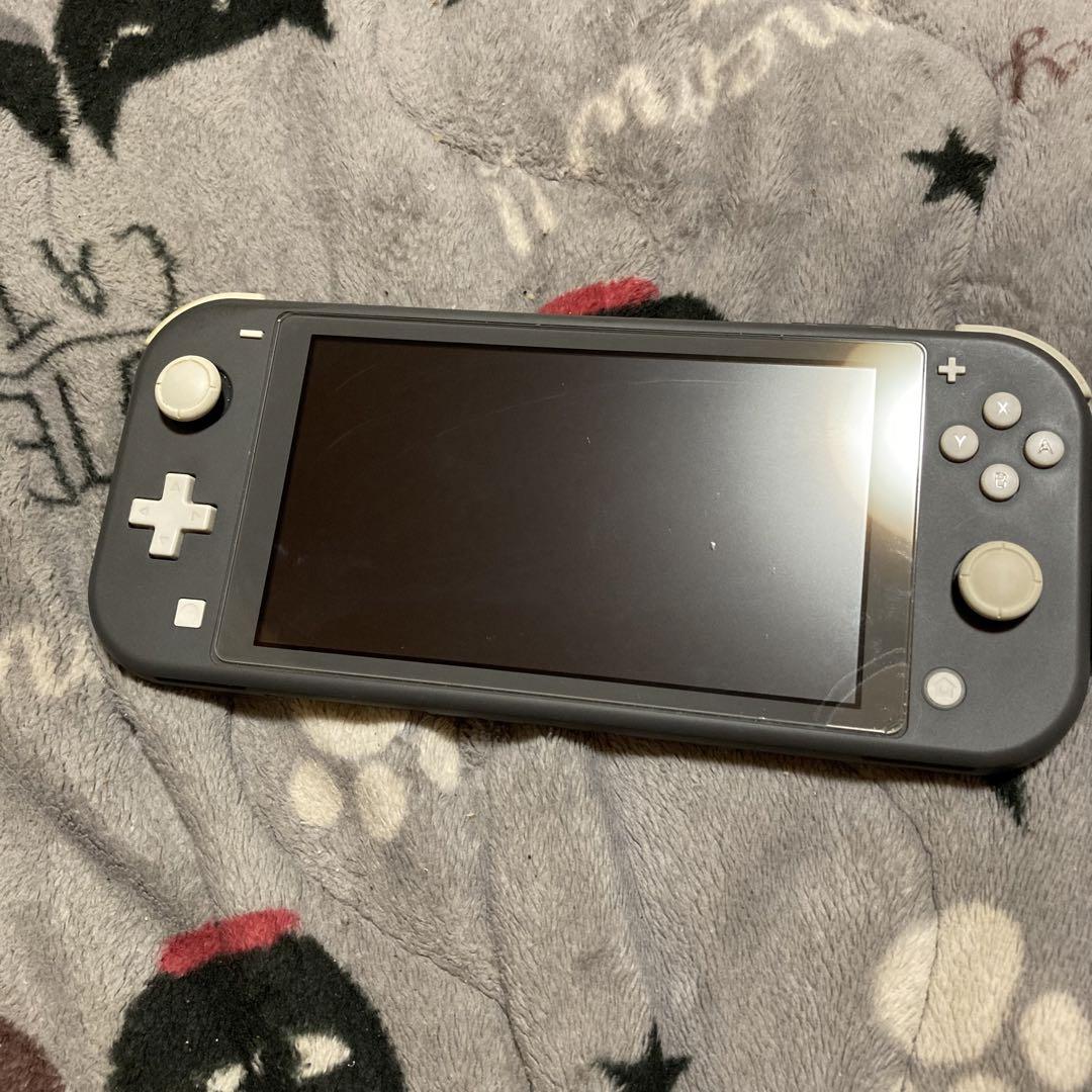 【美品】Switchライト/ソフト付き