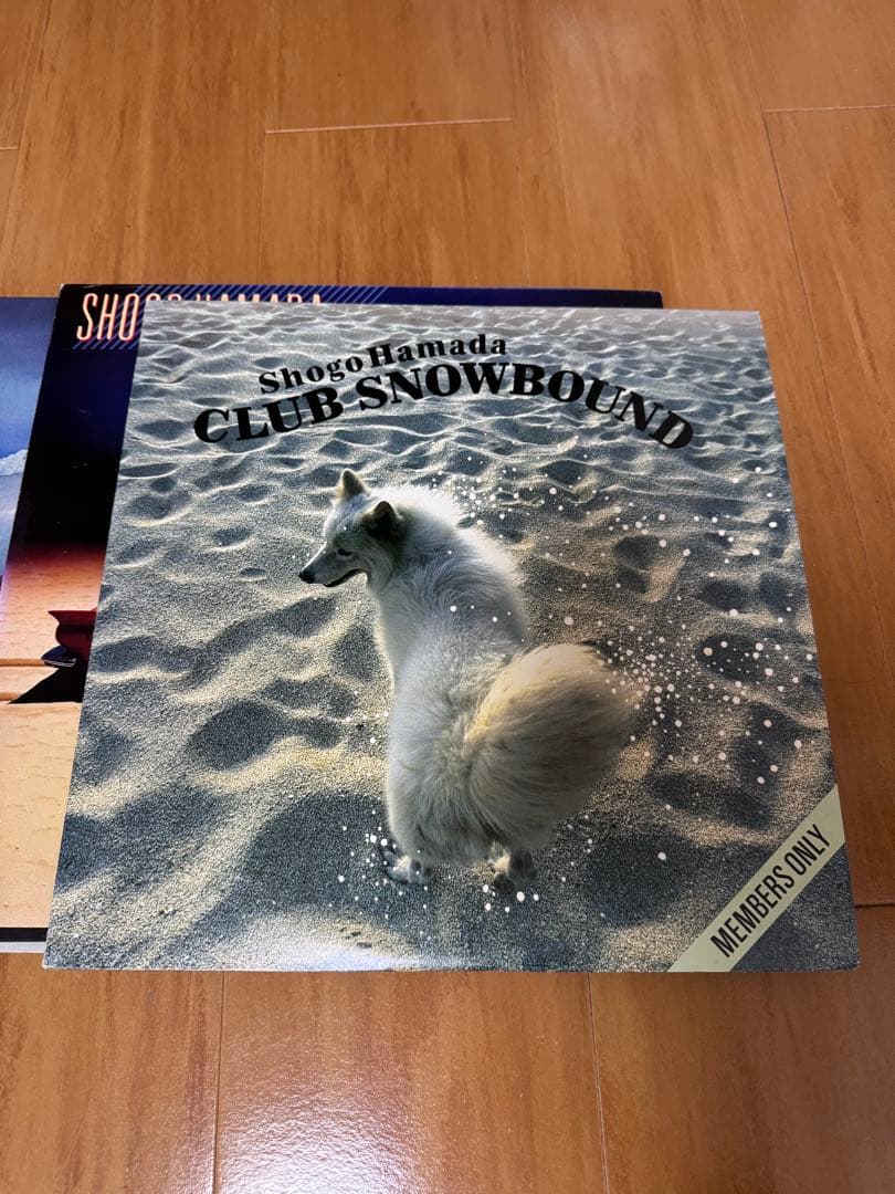 Shogo Hamada 浜田省吾 レコードセットまとめ売り - メルカリ Shogo Hamada 浜田省吾 レコードセットまとめ売り - メルカリ