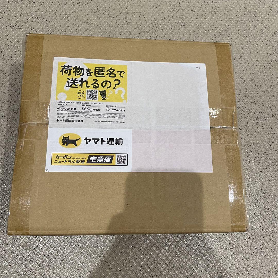 300パック 1カートン 未開封 プロモーションパック 始めよう