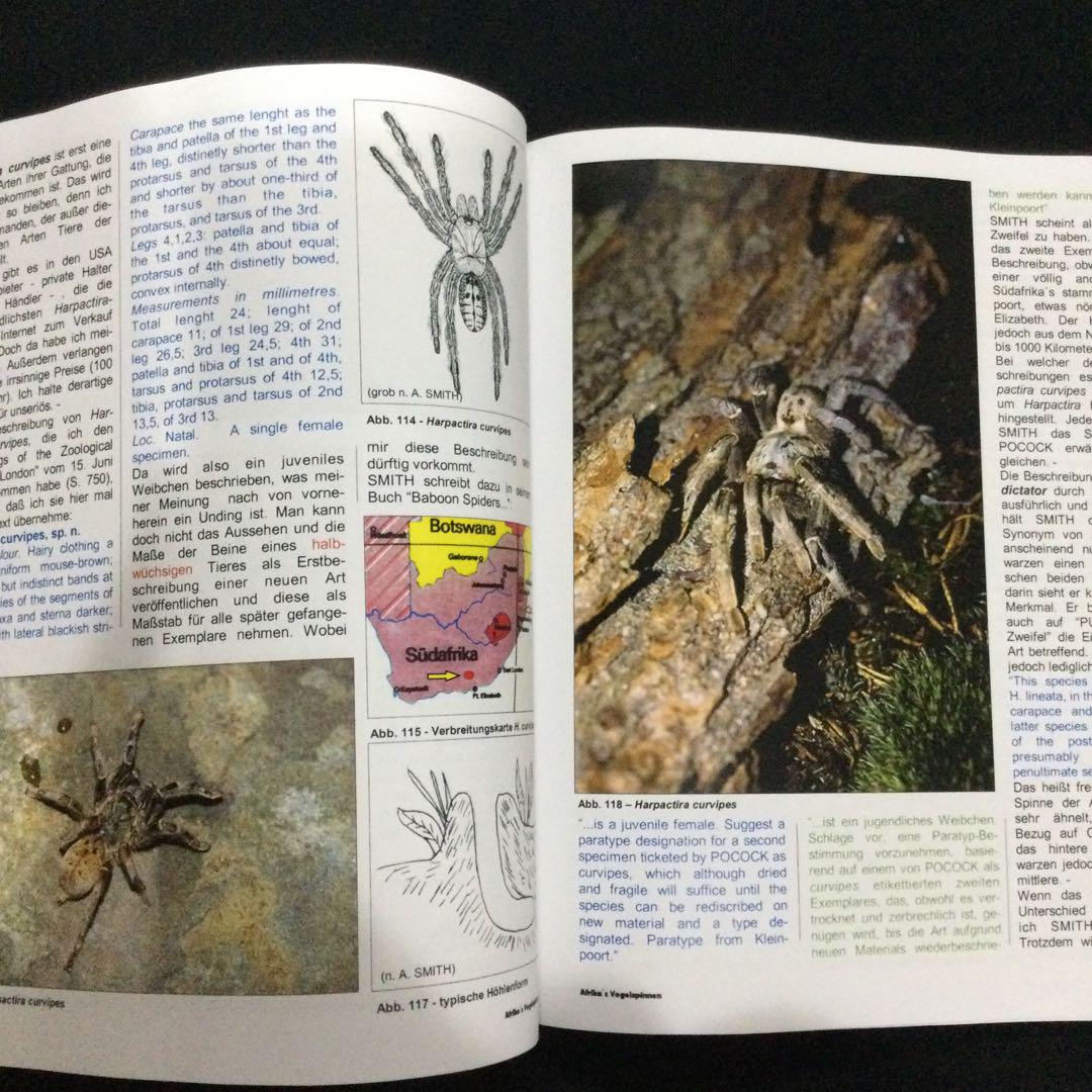 激安の アフリカ タランチュラ 蜘蛛 図鑑 洋書 ドイツ語 クモ 洋書