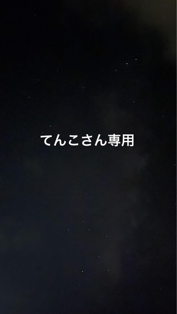 任天堂3DSLL充電器付き