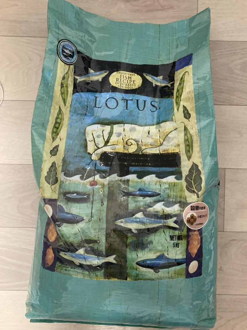 LOTUS ドライフード 5kg