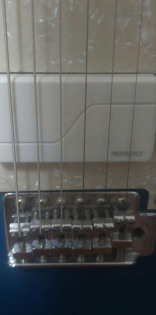 コンポーネントギター　ストラトキャスター　FISHMAN　ゴトーペグ