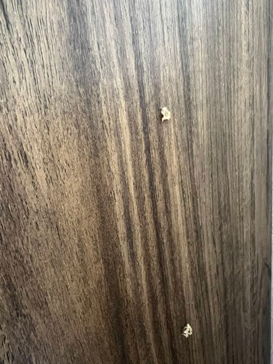 Re:CENO 伸縮式ラック Reily 高さ126cmタイプ | contifarma.pe