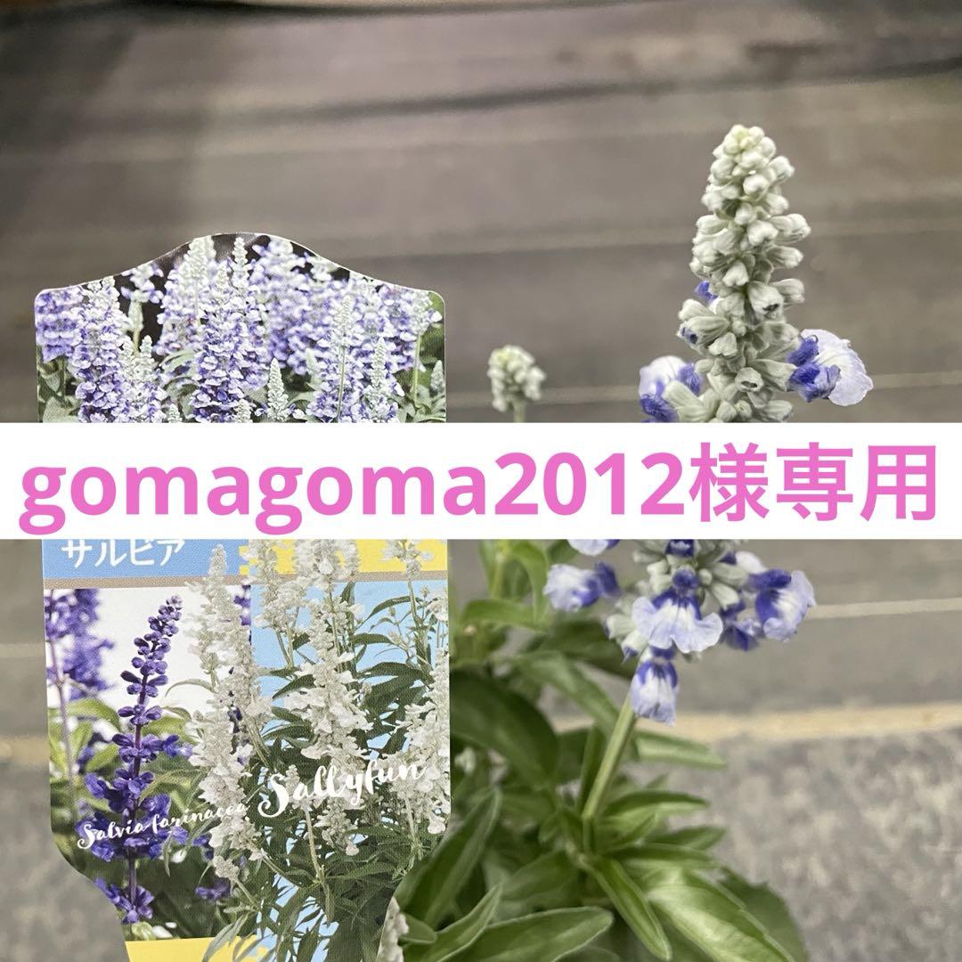 gomagoma2012様専用