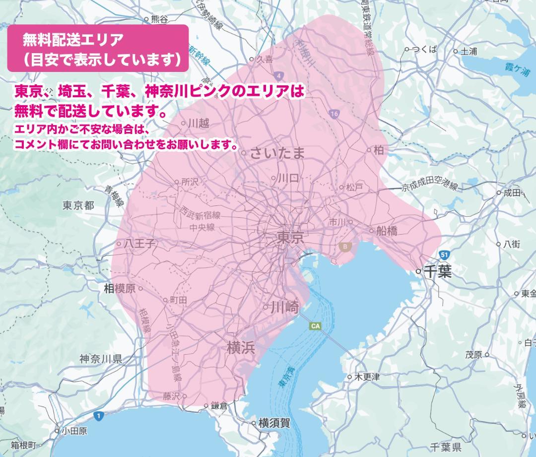 【PANASONIC】20インチ電動アシスト自転車2163