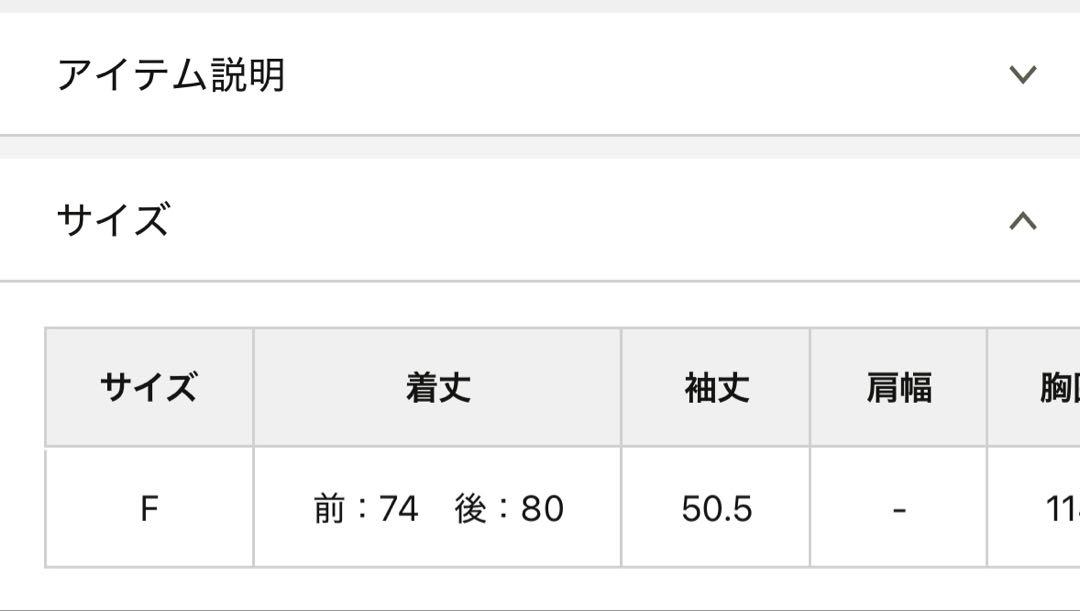 リヴドロワ　ギャザースリーブシアーシャツ