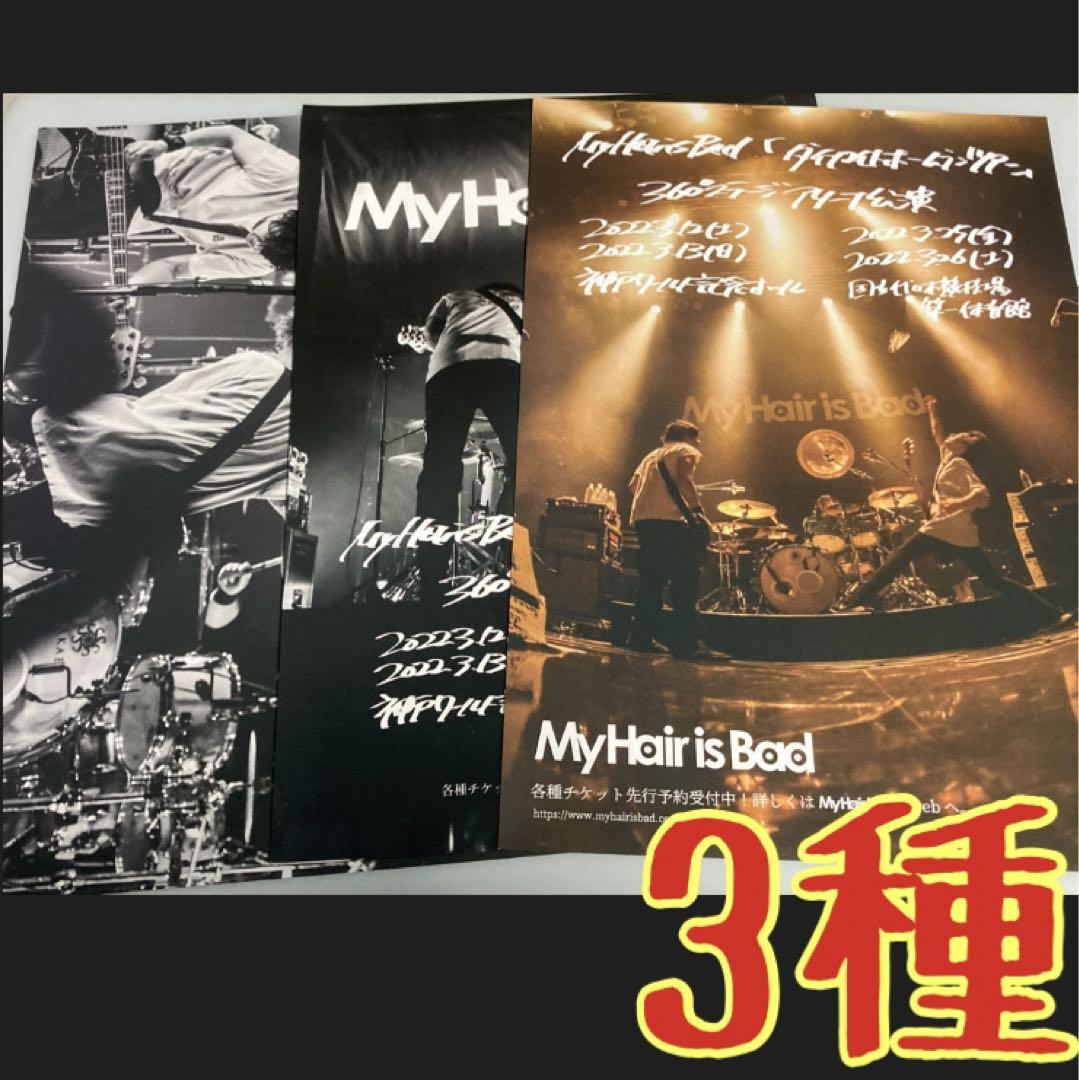 見事な My Hair is Bad マイヘア 椎木知仁 B5 フライヤー チラシ 3種