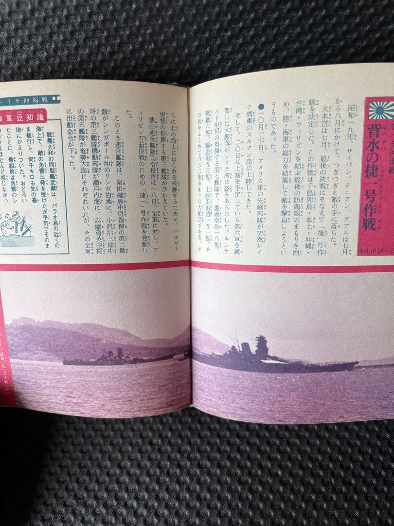 日本連合艦隊　ジャガーバックス